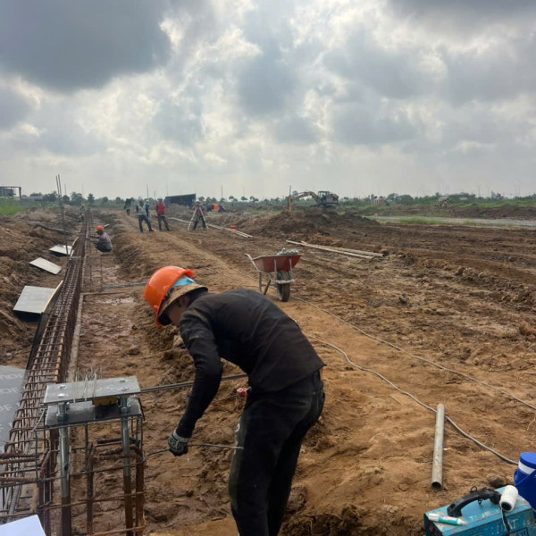 Dự án 6
